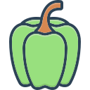 Chilly Capsicum